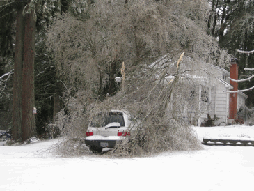 Salem Ice Storm